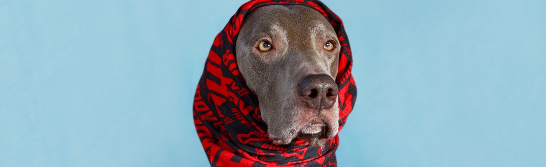 Multibandanas